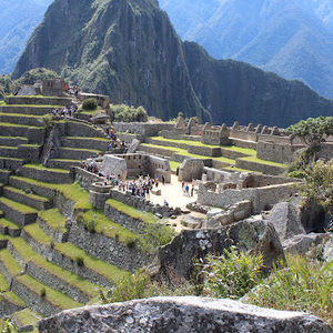 Meet your Posher, M. katherine